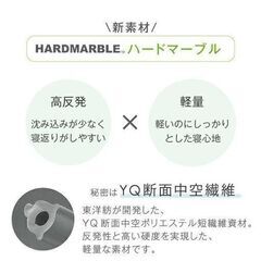 残1 新品・検品品 セミダブル敷布団 防ダニ 制菌の画像