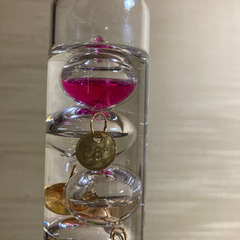 ガラスフロート温度  （ガリレオ温度計）とハーバリウムの画像