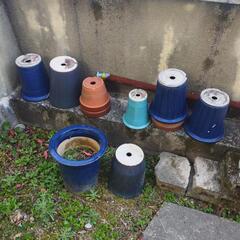 取引中　植木鉢色々