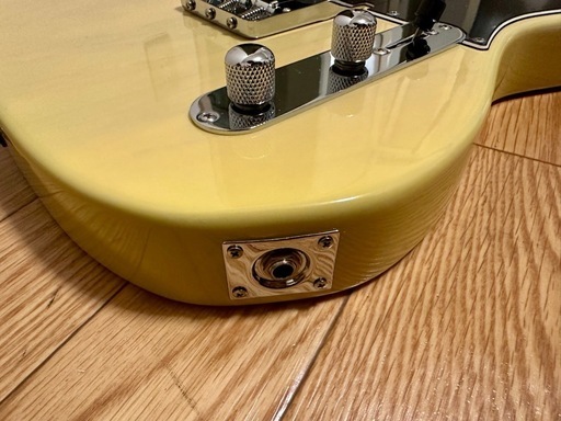 Bacchus バッカス　BTE-350M  テレキャスタータイプ　