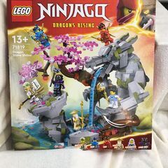 海外・日本製品のサルベージ品　LEGO  NINJAGO  Dr...