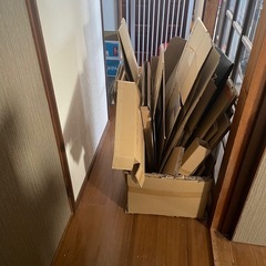 ダンボール
