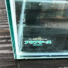 60センチワイドガラス水槽の画像