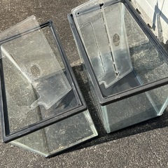 水槽 その他いろいろの画像