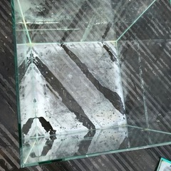 キューブ水槽30センチの画像