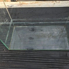 テトラ　60ガラス水槽の画像