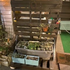 パレット　木製　木材の画像