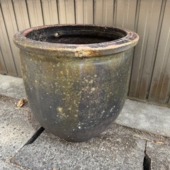 壺　メダカ