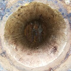 4 日本蜜蜂 養蜂巣箱 待ち受け箱の画像