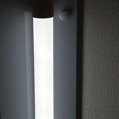 LED 40W形　1本の画像