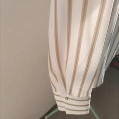 ストライプブラウスの画像