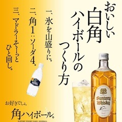 ウイスキー 白角の画像