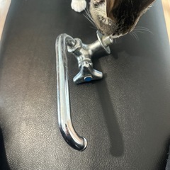 水道蛇口
