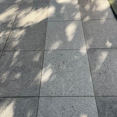 有明にできた新しい施設！有明アーバンスポーツパークにてレストラン調理スタッフの募集です。の画像