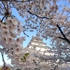  遊び部🌸