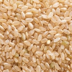 玄米 30kg
