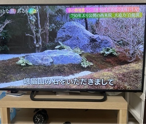 【特価】Qriom 49型 4K対応テレビ