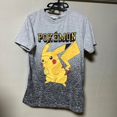 ピカチュウ⚡️