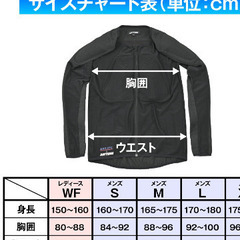(超美品　値下) デイトナ　バイクジャケットWF　インナープロテクターの画像