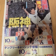 2003ねん阪神優勝新聞