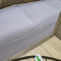 KATOJI  ベビー　プレイヤードの画像