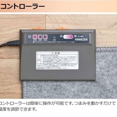 【新規受付停止します】2畳用ホットカーペットの画像
