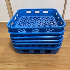 最終値下げです！カブトムシ　ボトルコンテナ　6個の画像