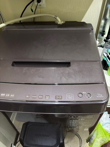 東芝　2022年製　12k洗濯機