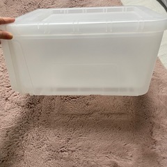 引き出し(カバゾコ)の画像