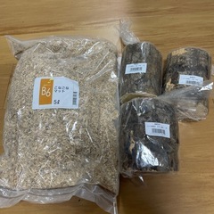 虫活！　産卵木！こなごなマット　水分補給スプレーもお付けします！