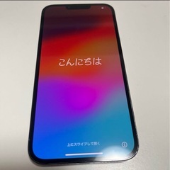 iPhone 13 Pro Max シエラブルー 128GB S...