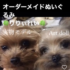 羊毛フェルト 基礎からお教えいたします^ ^の画像