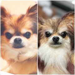 羊毛フェルト 基礎からお教えいたします^ ^の画像