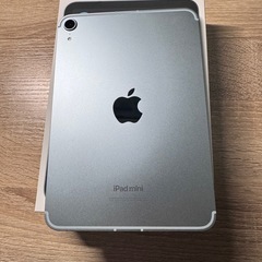 iPad mini（Ａ17pro ）