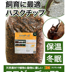 ココジーズ 爬虫類 両生類 床材 ハスクチップ 70L ココチップ 昆虫マット 小動物 ハムスター トカゲ リクガメの画像