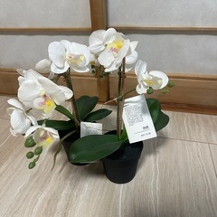 IKEA 造花