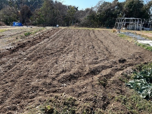 耕運機　管理機　クボタTMA4家庭菜園に最適