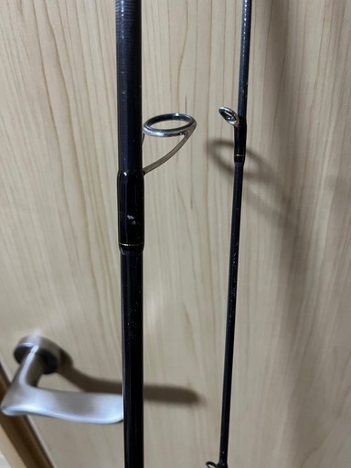 シーバスタックル(決まりました)