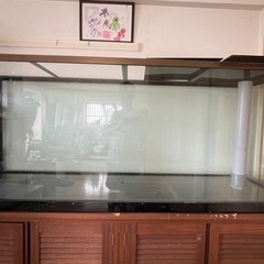 応募多数詳細追記】オーバーフローサイズ:幅180 奥行き50 高70水槽