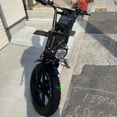 もペット