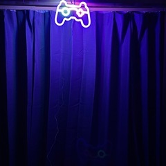 アメリカ雑貨 LED ネオンライト コントローラーの画像