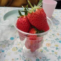 大人の遠足、飲み会はこちらです🎶 − 京都府