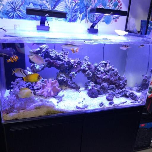 90センチアクリルオーバーフロー水槽セット