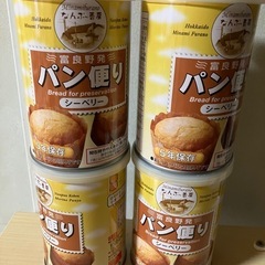 安田製薬リベスリムlevel3 3ヶ月分未開封