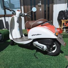 ホンダ　スクーピー　af55の画像