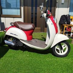 ホンダ　スクーピー　af55の画像