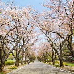 【雨天中止】＜4/6(日)＞府中の森公園フリーマーケット～みんなでSDGsに参加しよう - 府中市