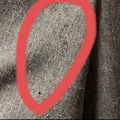 未使用訳あり　インディヴィ　ジャケットの画像