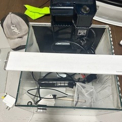 300キューブ水槽セット（3月23までは3500円です‼️）の画像