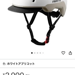 一度だけ試着ヘルメットの画像